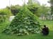 teepee