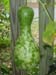 13 Chinese gourd
